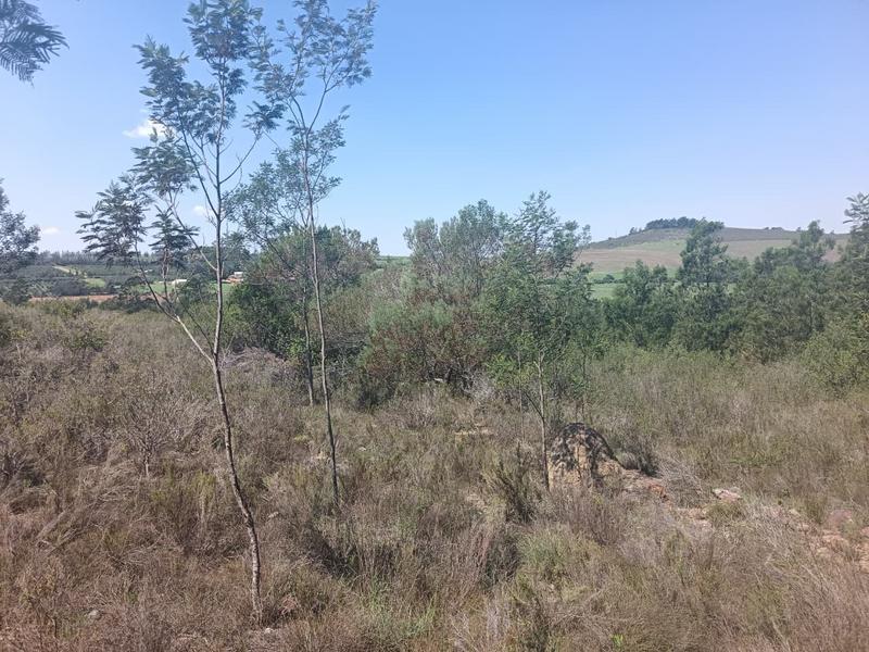 0 Bedroom Property for Sale in Albertinia Western Cape